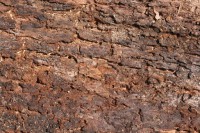 /album/fotogaleria-maderas/a8-jpg/