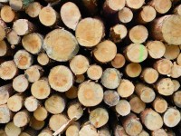 /album/fotogaleria-maderas/maderos-jpg/